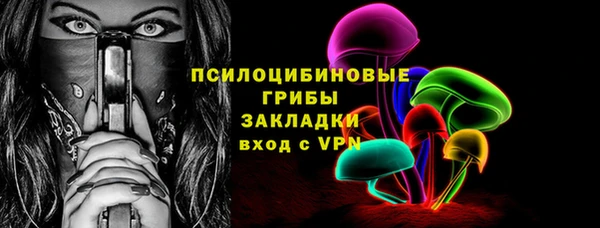 хмурый Алексин