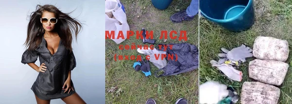 хмурый Алексин