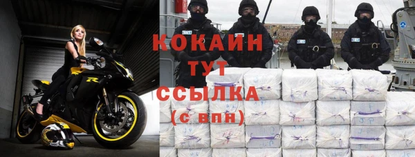 хмурый Алексин