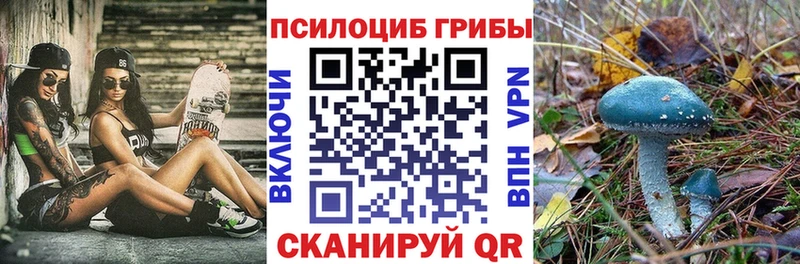 omg ONION  Джанкой  Псилоцибиновые грибы Psilocybe 
