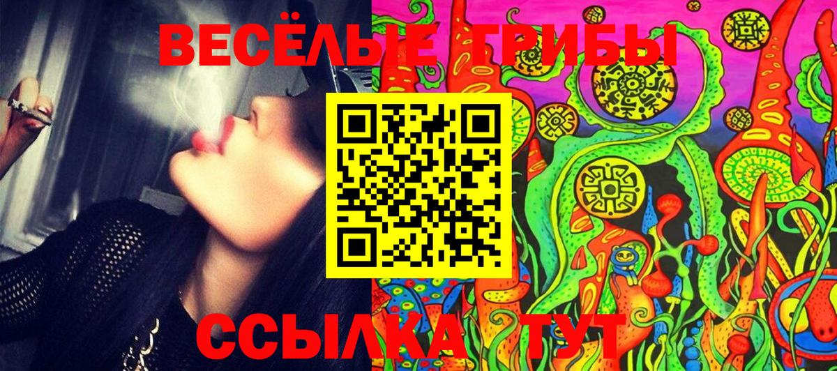 Псилоцибиновые грибы прущие грибы Джанкой